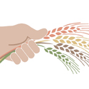 Conoce y protege nuestra biodiversidad agrícola