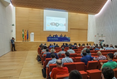 Inauguración del Palacio de Congresos 