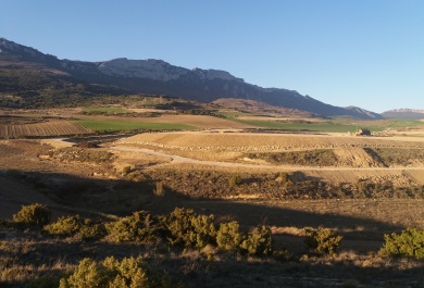 Balsa Rioja Alavesa