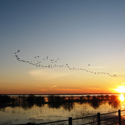 Doñana celebra su 50 cumpleaños