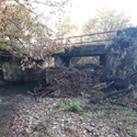 Limpieza de los ríos de Cangas del Narcea