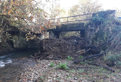 Imagen del río Pra (Nava) antes de los trabajos de extracción de tapón de restos vegetales