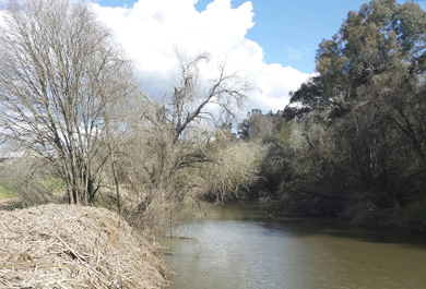 Restauración Ambiental del tramo bajo del río Bembézar y su entorno fluvial 