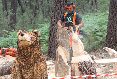 Ediciones anteriores Arturforesta