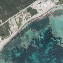 ​Tragsatec realiza el atlas de Posidonia en las Islas Baleares