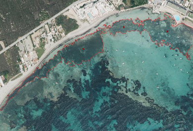Recintos de posidonia oceánica