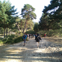 Descubre la Sierra de Guadarrama este verano