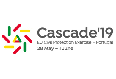 cascade 19