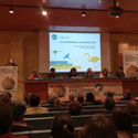 ​SEO/BirdLife organiza el XXIV Congreso Español y VII Ibérico de Ornitología