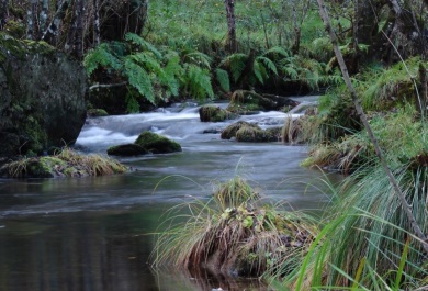 Cauce del Río Doade. Autor Jorge R. Sánchez