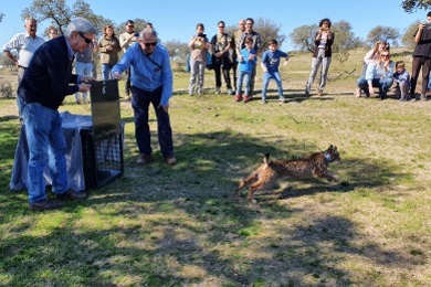 libre en una finca tras la suelta