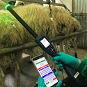 ​El Grupo Tragsa apuesta por los Sistemas Avanzados de Identificación Electrónica animal