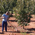 ​Donación de mascarillas para cerca de 100.000 trabajadores del campo