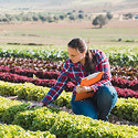 Celebramos el Día Internacional de las Mujeres Rurales