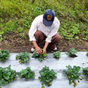 ​Finaliza el proyecto de cooperación 2020 de Cruz Roja y el Grupo Tragsa en Ecuador