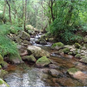 El sábado 30 de abril se llevará a cabo una Jornada de Educación Ambiental en la Reserva Natural Fluvial Río Troncoso (Padrenda - Ourense)​