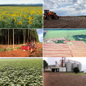 ​​TRAGSA y TRAGSATEC inician el proceso de desinversión del 100% de las acciones representativas del capital social de Colonización y Transformación Agraria, S.A. (CYTASA) a través de SEPI​​​​