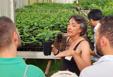 Visita al vivero forestal del Grupo Tragsa en Maceda