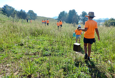 voluntariado ambiental 