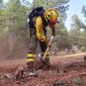 ​​Más de 2.400 profesionales del Grupo Tragsa intervienen en la campaña de incendios 2024