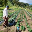 ​​Nueva convocatoria de Acciones de Cooperación al Desarrollo del Grupo Tragsa para 2025