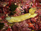 El Grupo Tragsa contribuye al conocimiento de los mares del planeta