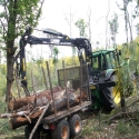 Galicia en lucha contra el Nematodo del Pino