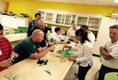 Los talleres trataban sobre las técnicas de cultivo in vitro y de estaquillado semiherbáceo,