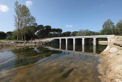 Puente en el camino de los Tarajales