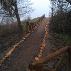Camino de acceso al mirador del Guadalquivir.