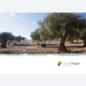 Seguros agrarios (inglés)