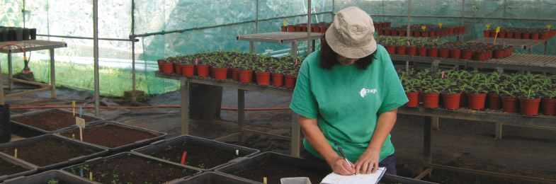 Trabajadora del Grupo Tragsa en un vivero