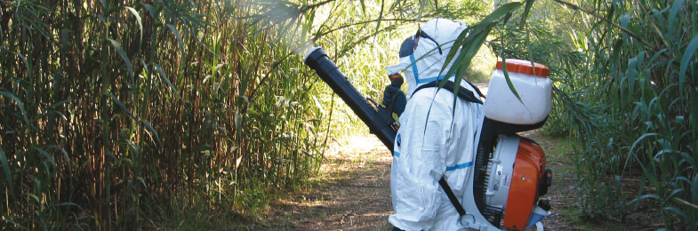 Técnico fumigando