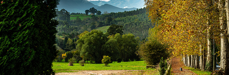 Paisaje natural 