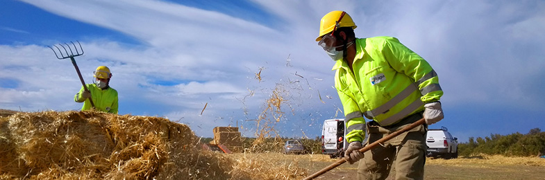 Trabajadores Grupo Tragsa