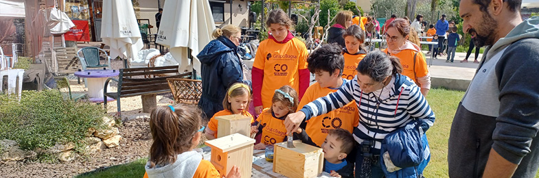 Programa de voluntariado corporativo 