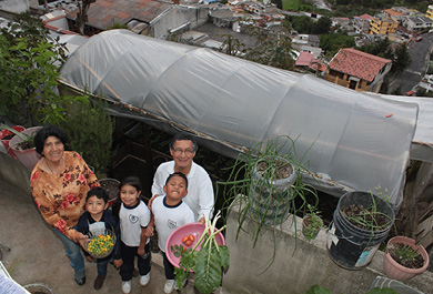 Proyecto de la convocatoria 2020 para la puesta en marcha de huertos urbanos ecológicos en Quito, Ecuador