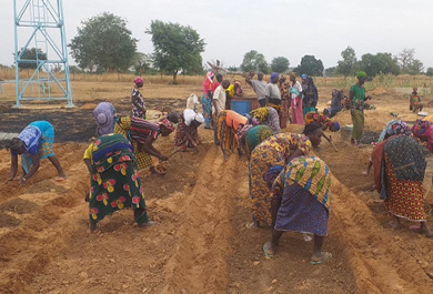 Mujeres agricultoras realizan tareas de siembra en el marco del proyecto beneficiario de la convocatoria 2022, en Malí