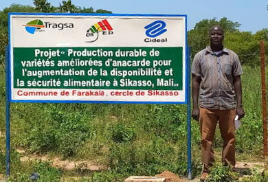 Proyecto de cooperación en el norte de Senegal de la ONG ONGAWA